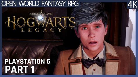 This choice will allow you to create your preferred experience, whether that’s prioritizing a higher framerate or visual fidelity. . Hfr performance hogwarts legacy ps5